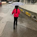 Seher