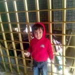 Demet