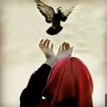 Ayşe