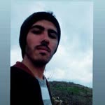 Şeyh