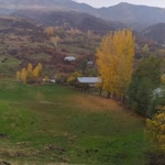 Zehra