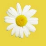Ayse