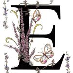 Ersun