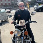 Rıza