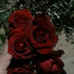 Rabia