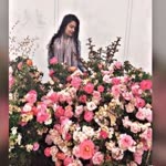 Emine