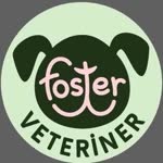 Foster