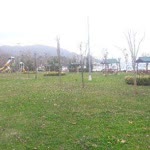 Kenan