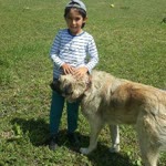 Seren