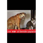 Beyna