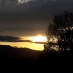 Alp