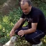 Kemal