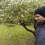 Elif