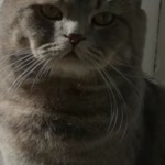 Sefa