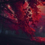 Sabir