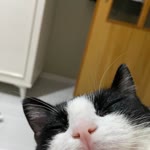 Özlem