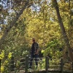 Burak