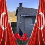 Halit