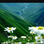 Fatma