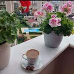 Meryem