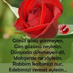 Gülcan