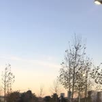 Dilan