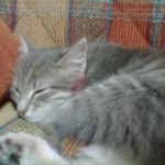 Gizem