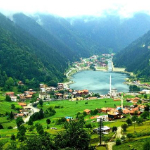 Murat