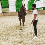 Ali