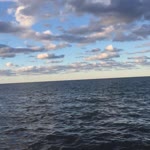 Selcan