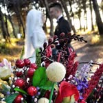 Elif