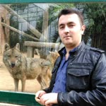 İlhami