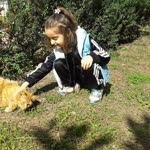 Yaşar