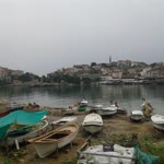 Tolga
