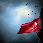Nur