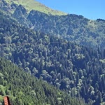 Abdullah