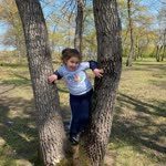 Elif