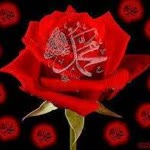 Zumrut