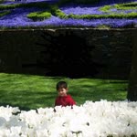 Nadide