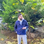 Aygün