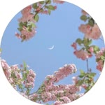 Seher