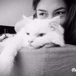 Nadire