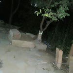 Zakir