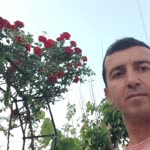 Hakan