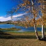 Aybars
