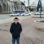 Halis