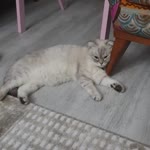 Yusuf