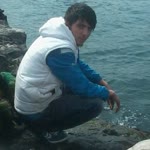 Pelin