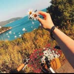 Sibel