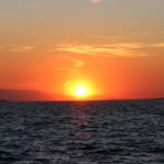 Anıl